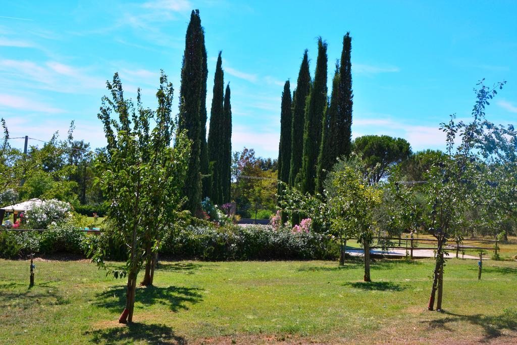 Agriturismo L'Aquilone Magliano in Toscana Bagian luar foto