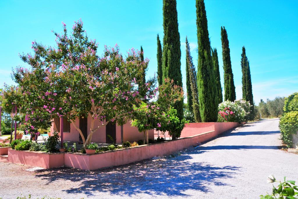 Agriturismo L'Aquilone Magliano in Toscana Bagian luar foto