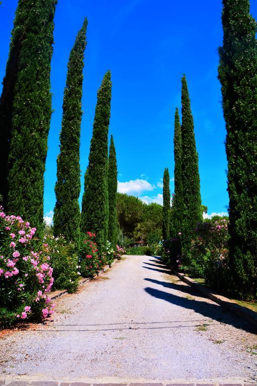 Agriturismo L'Aquilone Magliano in Toscana Bagian luar foto