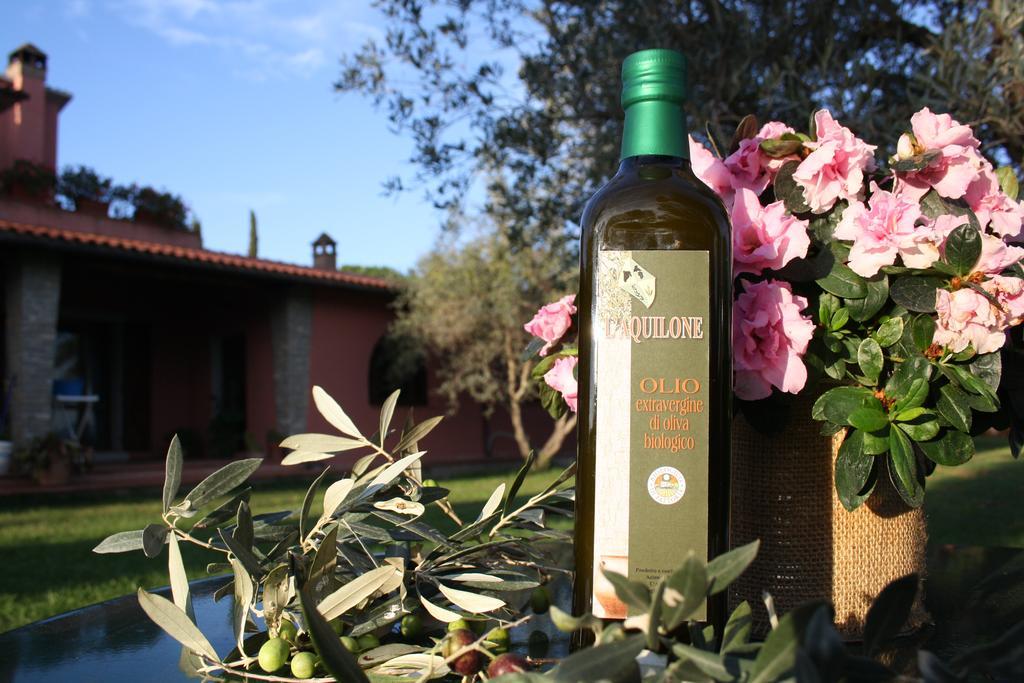 Agriturismo L'Aquilone Magliano in Toscana Bagian luar foto