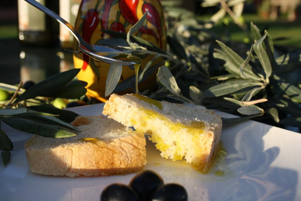 Agriturismo L'Aquilone Magliano in Toscana Bagian luar foto