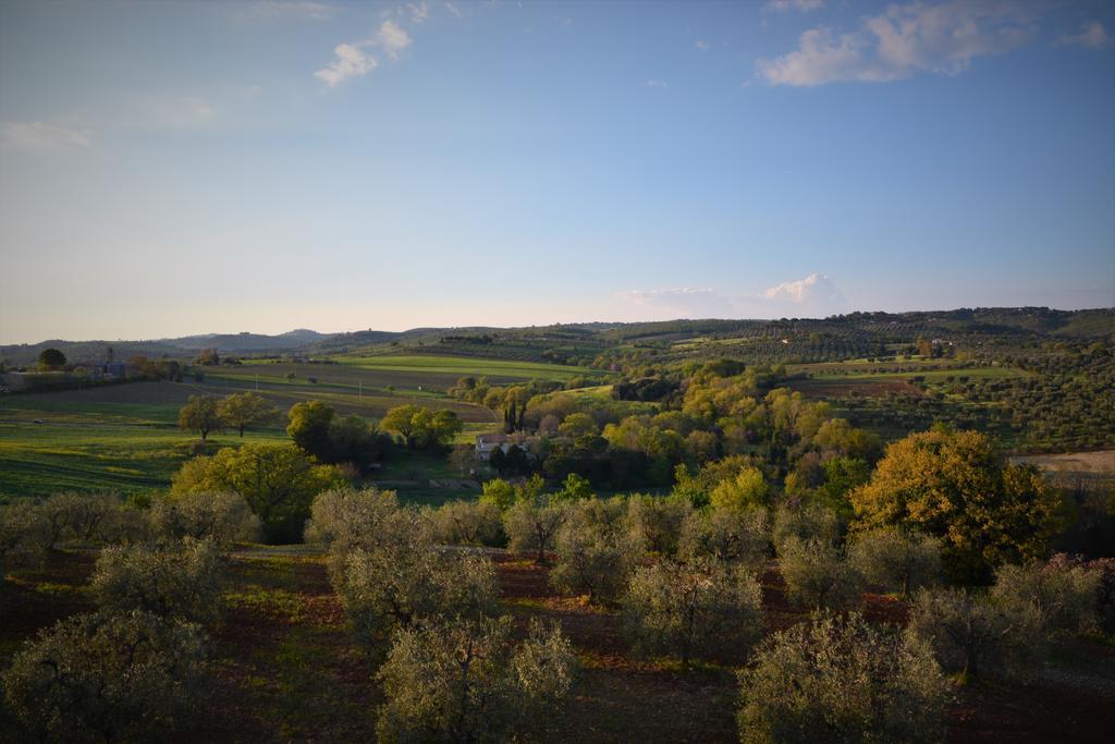 Agriturismo L'Aquilone Magliano in Toscana Bagian luar foto